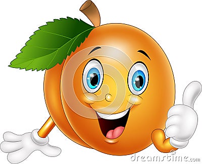 Cartoon apricot giving thumbs up Vector Illustration