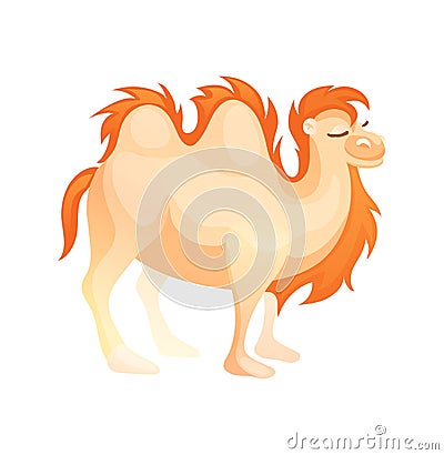 Cartoon arabian camel. Symbol of desert animal transport cartoon vector Vector Illustration