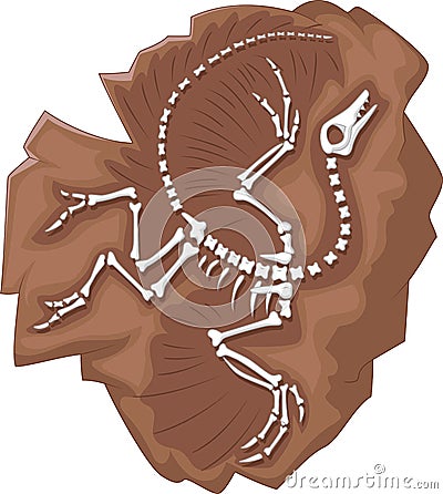 Cartoon Archeopteryx fossil Vector Illustration