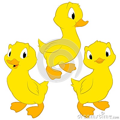 Cartoon Baby Ducks Vector Illustration