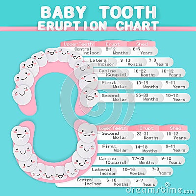 Cartoon baby tooth Vector Illustration