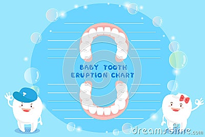 Cartoon baby tooth eruption chart Vector Illustration