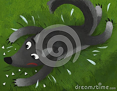 Cartoon bad wolf on grass with his teeth knocked out Cartoon Illustration