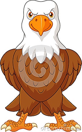Cartoon bald eagle posing isolated on white background Vector Illustration