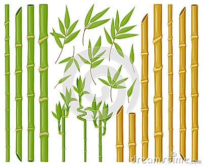 Cartoon bamboo plants. Asian bamboo stems, stalks and leaves, fresh green stick plants with foliage, natural bamboo Vector Illustration