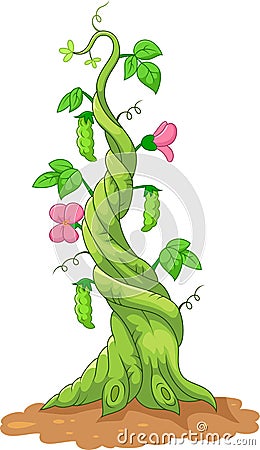 Cartoon bean stalk Vector Illustration