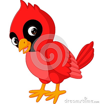 Cartoon beautiful cardinal bird Vector Illustration