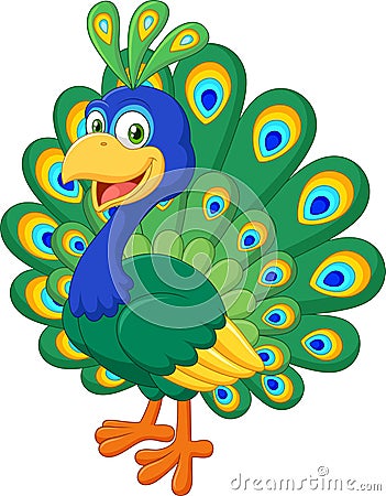 Cartoon beautiful peacock on white background Vector Illustration