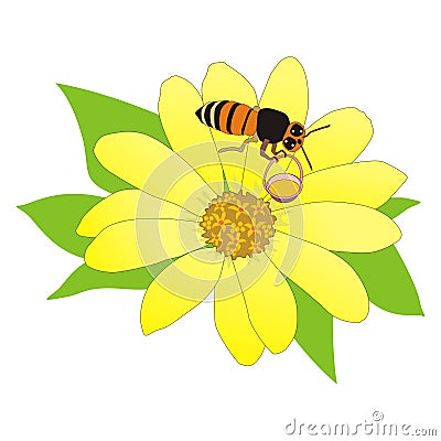 Cartoon bee collecting nectar Stock Photo