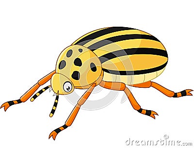 Cartoon Beetle isolated on white background Vector Illustration