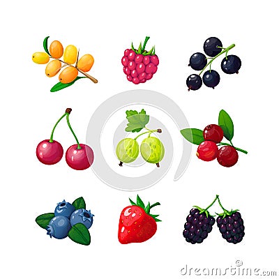 Cartoon berries. Strawberry raspberry cherry blueberry gooseberry blackberry buckthorn. Cartoon berry vector isolated Vector Illustration