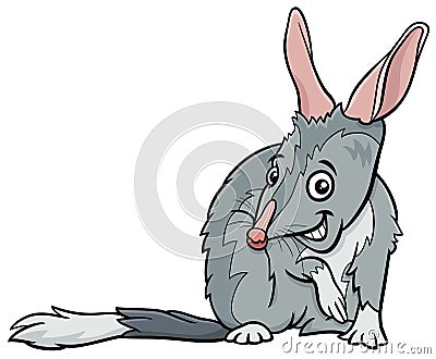 Cartoon bilby or macrotis comic animal character Vector Illustration