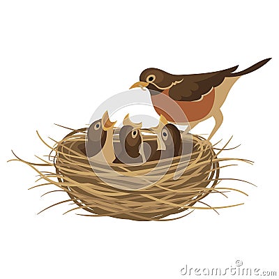 Cartoon bird`s nest with chicks. Vector illustration for children. Springtime. Vector Illustration