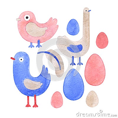 Cartoon bird watercolor set. Cartoon Illustration