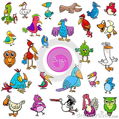 Cartoon birds animal characters big collection Vector Illustration