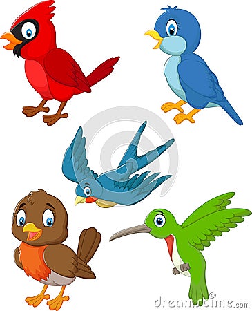 Cartoon birds collection set Vector Illustration