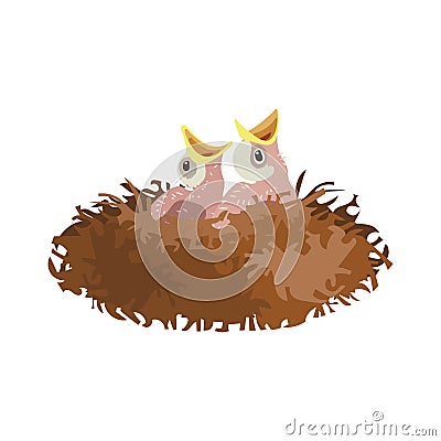 Cartoon birds nest with chicks. Vector illustration Vector Illustration