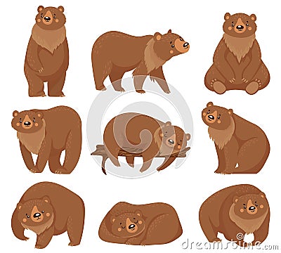 Cartoon brown bear. Grizzly bears, wild nature forest predator animals and sitting bear isolated vector illustration Vector Illustration