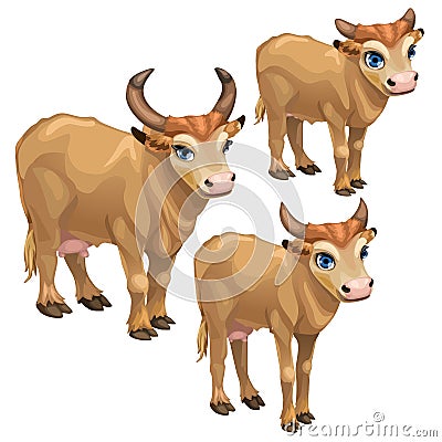 Cartoon brown cow on white background. Vector Vector Illustration