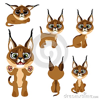 Cartoon brown kitten or lynx in different poses Vector Illustration