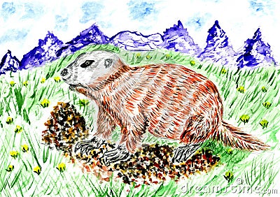 Cute Watercolor Marmot Cartoon Illustration