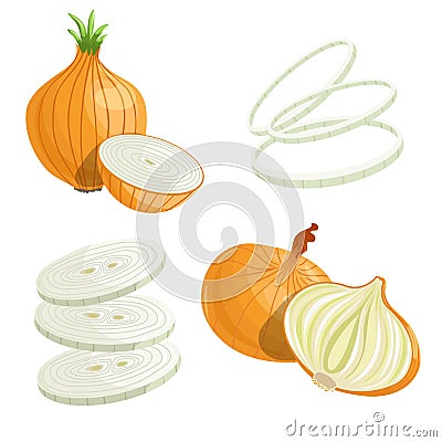 Cartoon brown or yellow onions set. Whole unpeeled, half, onion rings and slices. Fresh farm market vegetables. Vector iilustratio Vector Illustration