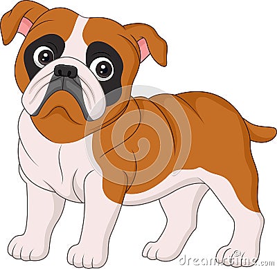 Cartoon bulldog isolated on white background Vector Illustration