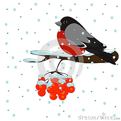 Cartoon bullfinch winter bird sits on a rowan branch with red berries Vector Illustration