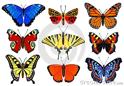 Cartoon butterflies. Flying colorful insects, spring butterfly moth insect, summer garden flying butterflies. Butterfly Vector Illustration