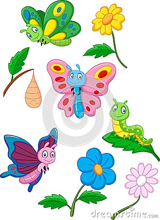 Cartoon butterfly, caterpillar and cocoon Vector Illustration