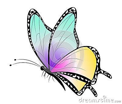 Cartoon Butterfly Clip Art Vector Illustration