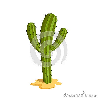 Cartoon cactus. Isolated mexican plant. Green succulent icon. Nature of Mexico Vector Illustration