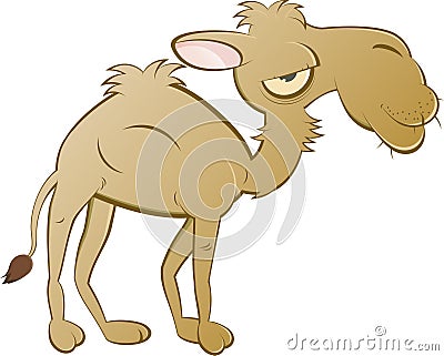 Cartoon Camel Vector Illustration