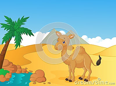 Cartoon camel with desert background Vector Illustration