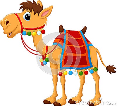 Cartoon camel with saddlery Cartoon Illustration