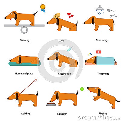 Cartoon Caring for Dog Set. Vector Vector Illustration