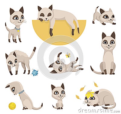 Cartoon cat characters collection. Different pets poses. Siamese colorpoint cats. Adorable domestic cats sleeping and Vector Illustration