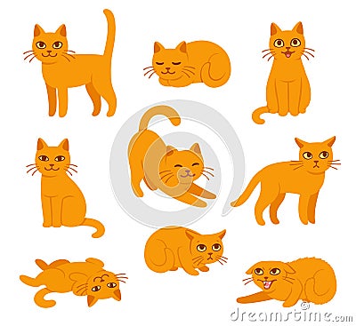 Cartoon cat poses set Vector Illustration