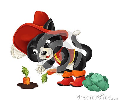 Cartoon cat working - gathering carrot / isolated Cartoon Illustration