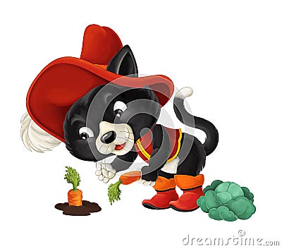 Cartoon cat working - gathering carrot / isolated Cartoon Illustration