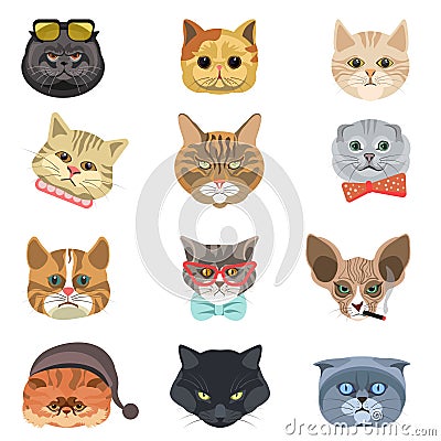 Cartoon cats and hipster kittens face muzzles vector icons Vector Illustration