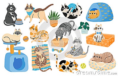 Cartoon cats playing with toys, relaxing and sleeping in bed. Hapy pet kitten characters in funny poses. Cute tabby cat Vector Illustration