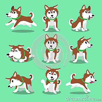 Cartoon character brown siberian husky dog poses Vector Illustration