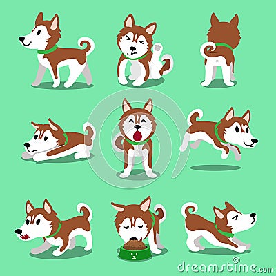 Cartoon character brown siberian husky dog poses Vector Illustration