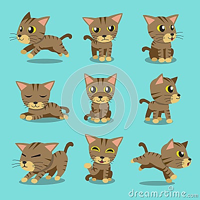 Cartoon character brown tabby cat poses Vector Illustration