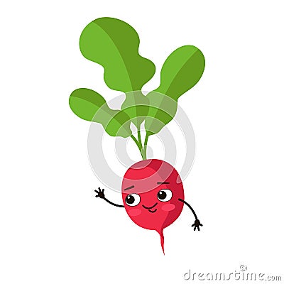 Cartoon character in the flat style. Cute funny radish with green tops Vector Illustration