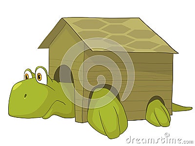 Cartoon Character Turtle Vector Illustration