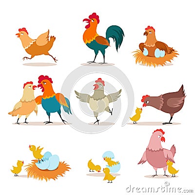 Cartoon chicken. Chick with eggs, hen and rooster. Happy christmas chicken, domestic birds and valentine pets vector Vector Illustration