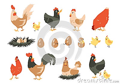 Cartoon chicken. Cute domestic farm animals. Hen incubates chicks in nest. Stages sequence of bird hatching from egg Vector Illustration