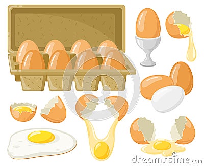 Cartoon chicken eggs. Fresh, boiled, fried eggs, broken eggs, half egg with yolk, eggs in cardboard box. Organic farm Vector Illustration